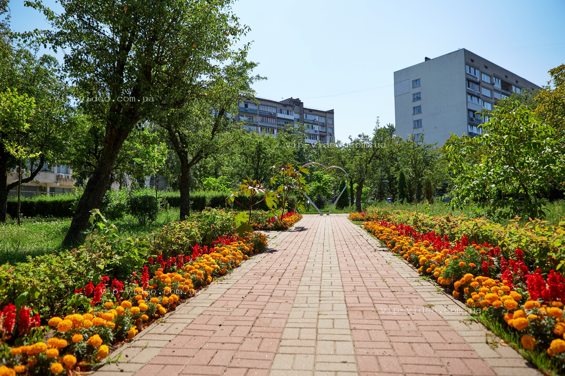 Фотографія фігури у формі серця, що знаходиться в парковій зеленій зоні поряд з Дарницьким РАЦС міста Київ