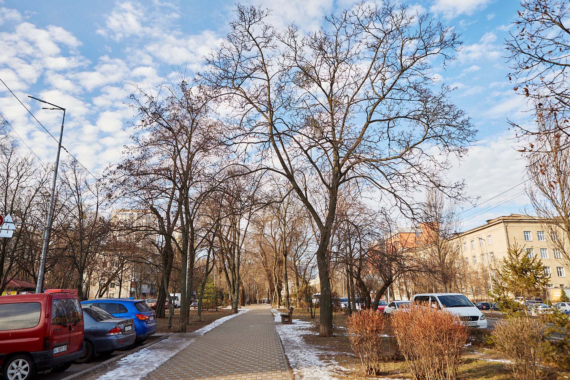 Фотографія паркової зони, що знаходиться поряд із Солом'янським РАЦС (ЗАГС) Київ